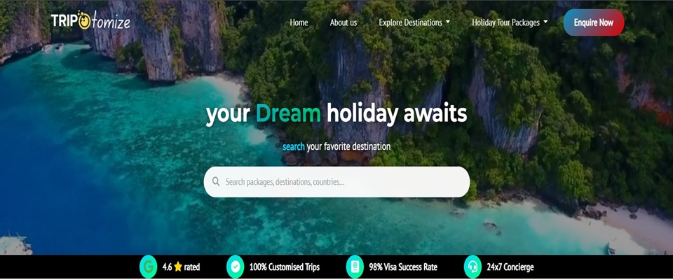Travel Website Preview 1